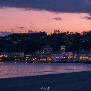 星期天的蓝玫瑰