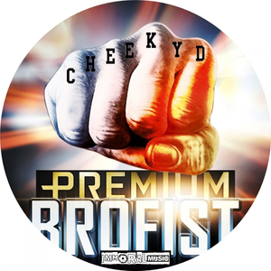 Premium Brofist (Original Mix)