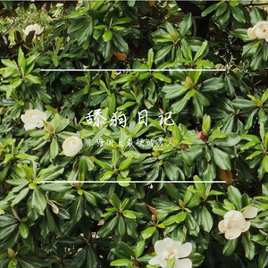 必杀技Remix（prod by jackeymakingmoney）
