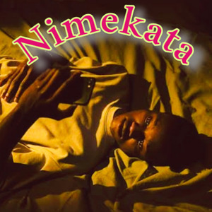 Nimekata