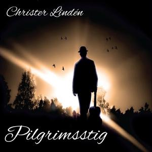 Helgdagskväll timmerkojan