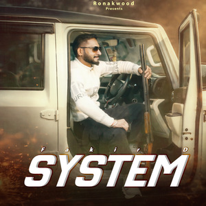 System