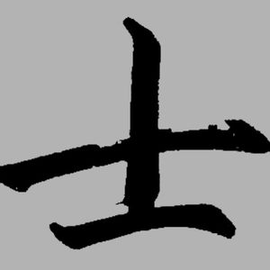 士