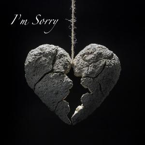 I'm Sorry