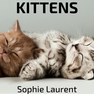 La Principessa Che Credeva Nelle Favole