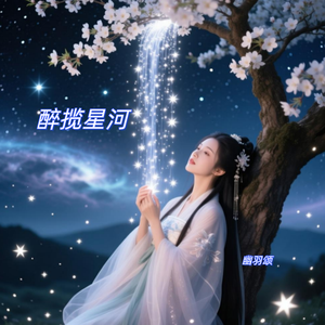 醉揽星河