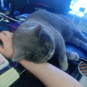 奇点联盟（移动城市同名主题曲）