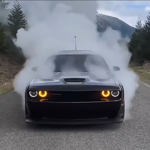 难念的经英文版