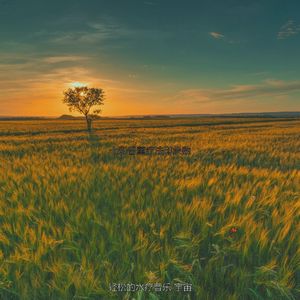 抚慰的水疗日回忆