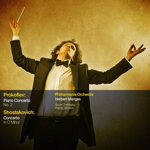 Piano Concerto No. 2 in G Minor, Op. 16: I. Andantino - Allegretto