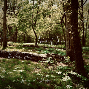 Time, Distance, and Thought