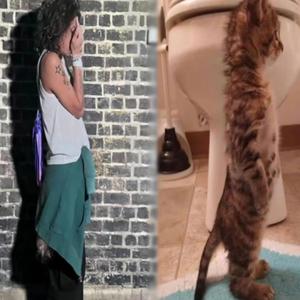 Show Me Love (Relay) (feat. Angelus)