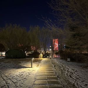 雪夜