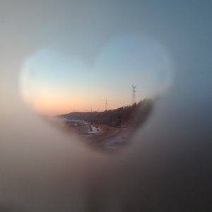 花开种花家（张义文 赵梓璇 李林熹 刘晓梅 吴珂欣）-mmm