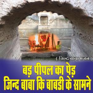 बड़ पीपल का पेड़ जिन्द बाबा की बावड़ी के सामने || जिन्द बाबा भजन