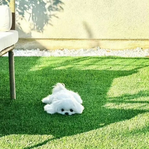 相爱的人没有好结果