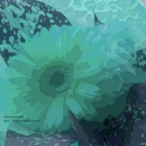 こんぜのはこにわ