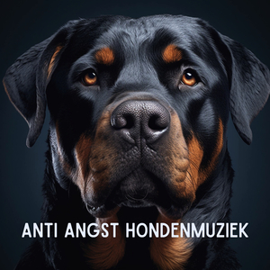 Slaperige hond