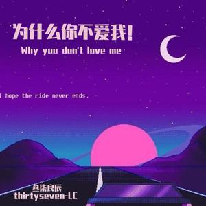 王极-为什么你不爱我
