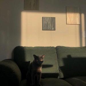 其实都知道（翻自 罗之豪）