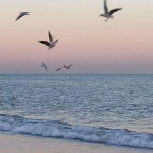 气象站台（抖音温柔版）