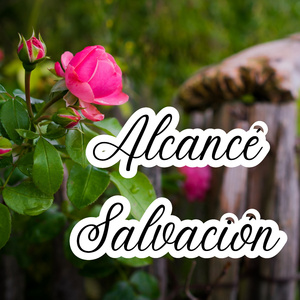 Alcancé salvación