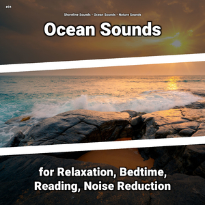 Ocean Sounds