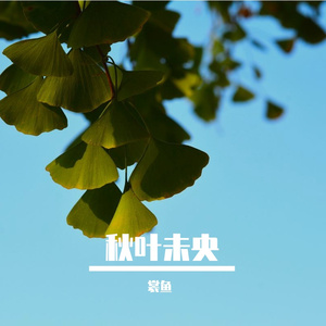 秋叶落尽爱未央 伴奏