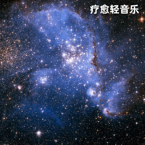 读者深度阅读纯音乐・文学魅力