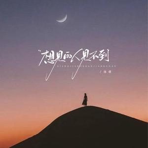 想见的人见不到