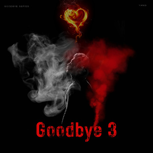 Goodbye 3