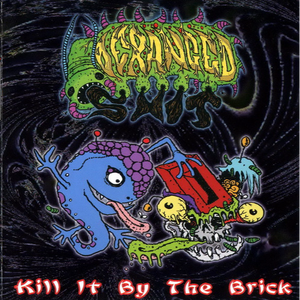 Huge Aberrance Mosquito From Jungle