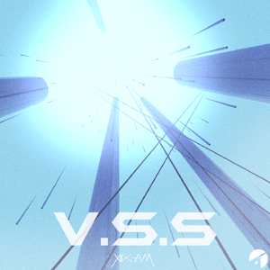 V.S.S
