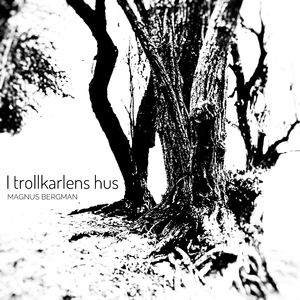 I trollkarlens hus