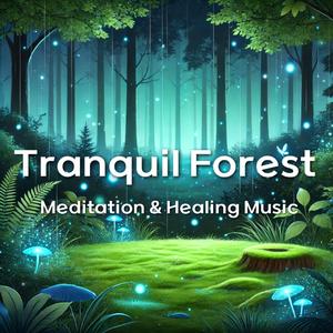 Tranquil Forest 고요의 숲