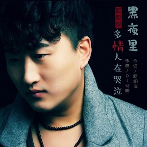 黑夜里多情人在哭泣 (DJ何鹏版|DJ版)