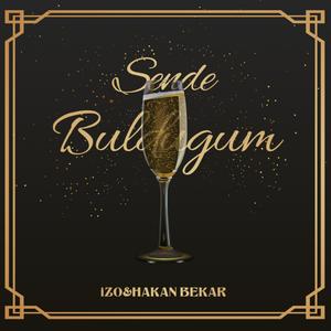 Sende Bulduğum (feat. Hakan Bekar)