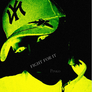Fight For it（翻自 王天放FrankiD）