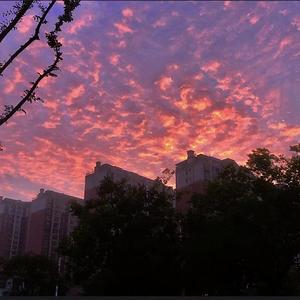 刺痛CITONG (Prod.beatsbySimon)