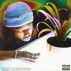 Many Lives, Many Teachers