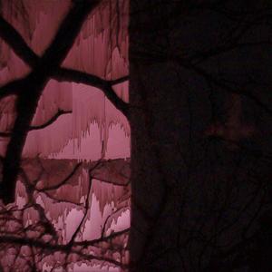 Empty Veins (feat. Zodiak)