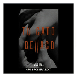 Tu Gato Bellaco (Edit)