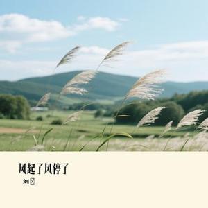 风起了风停了