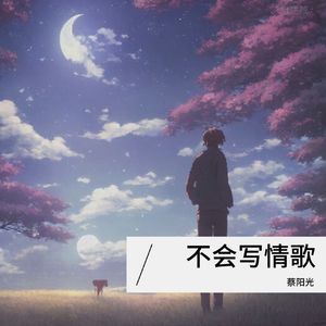 不会写情歌