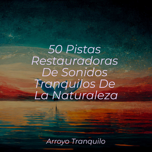 Momentos Tranquilos En El Río