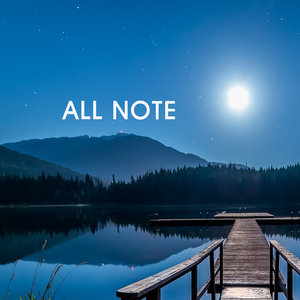 별이 빛나던 어느밤