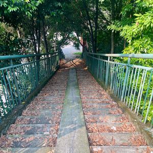 高速路上的井盖