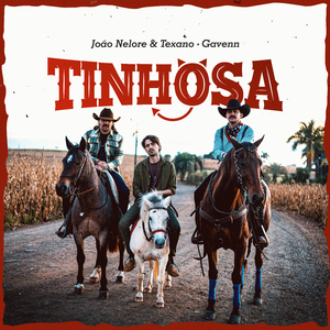 Tinhosa