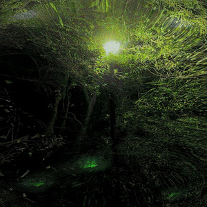 but i said everything