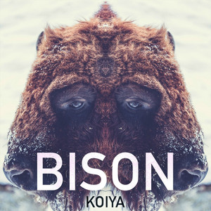 Bison